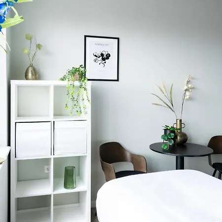Apartment Bedroom, Airco, Free Parking & Private Bathroom Raamsdonksveer